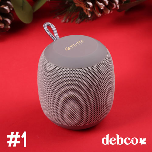 Boomberri Wireless Speaker