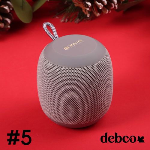 Boomberri Wireless Speaker