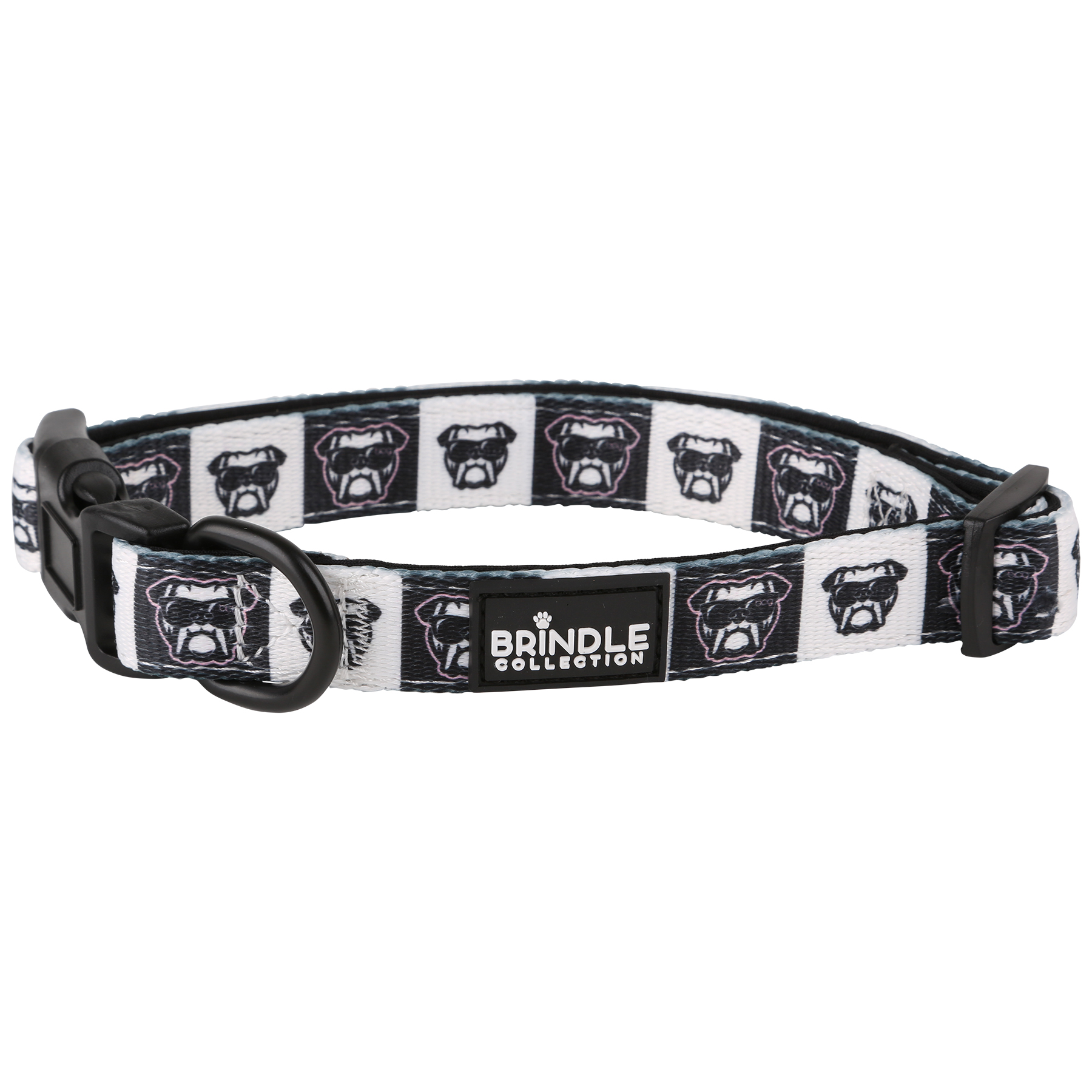 Dog Collar With Neoprene Backing: Large