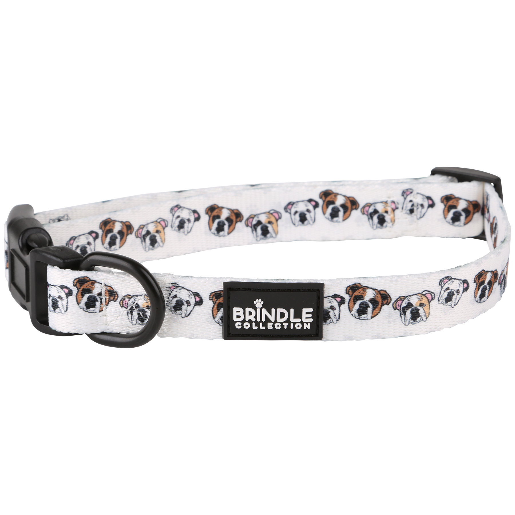 Dog Collar: Medium