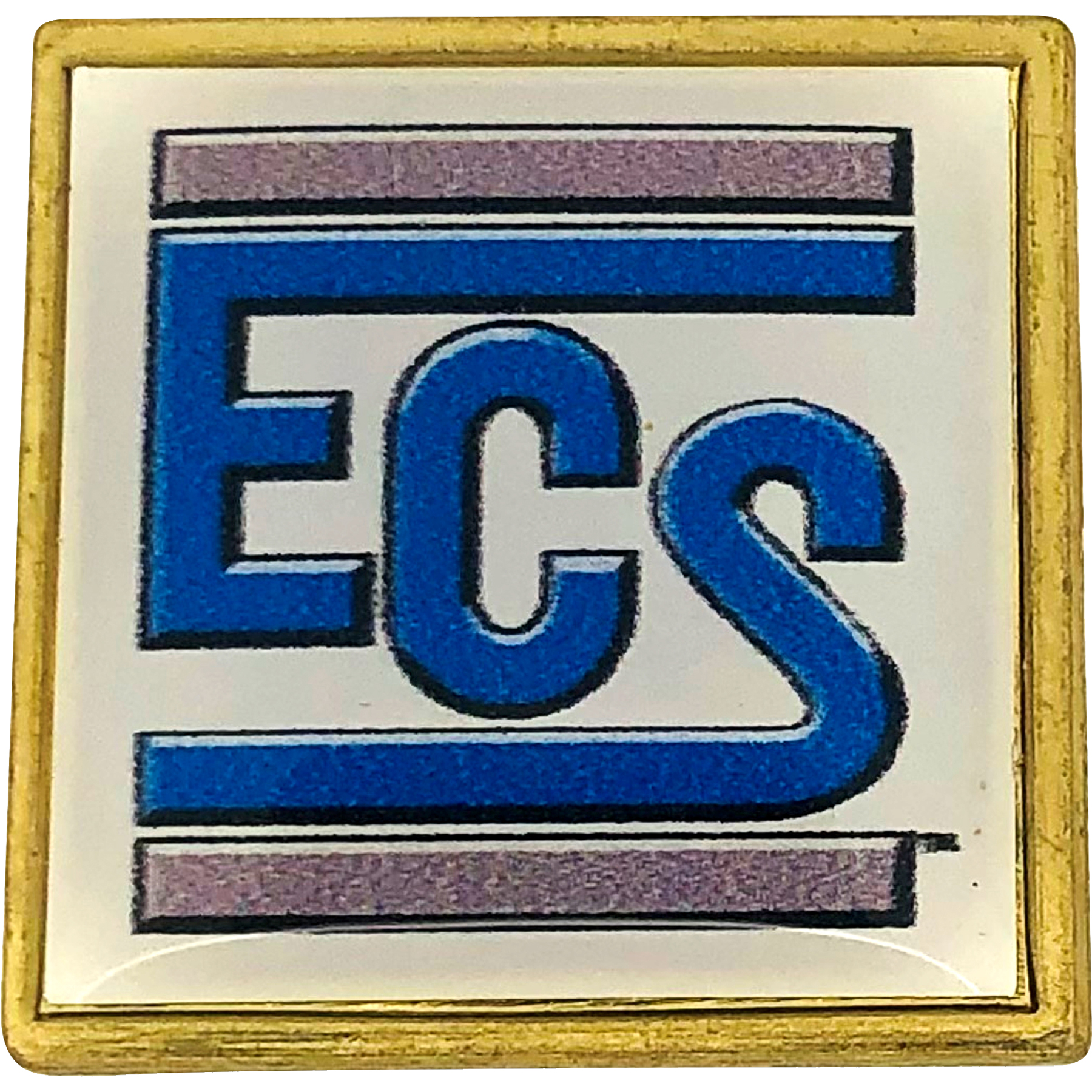 Digistock Lapel Pins: 1" W X 1" H Square