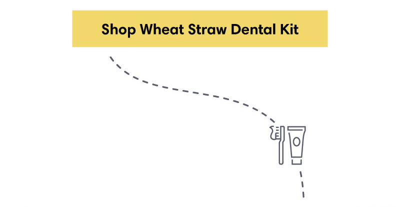 Shop Dental Kit